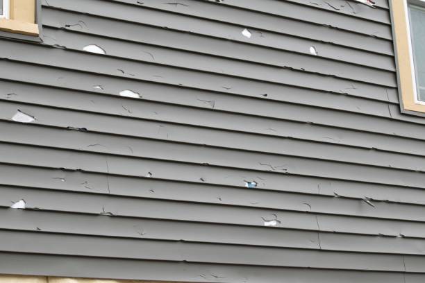 Siding Removal and Disposal in Tomahawk, WI